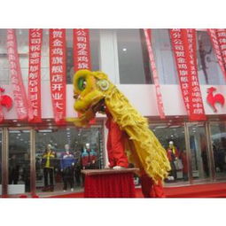 鄭州舞龍舞獅隊 鄭州舞獅團